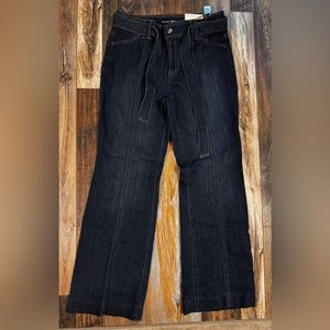 Denim/Jean Platinum Trousers by Chico’s